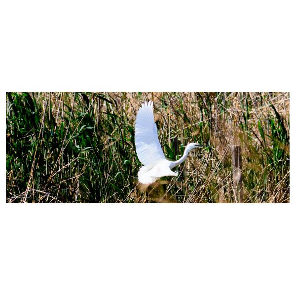 PHOTO84, CLUB, 84 , LUBERON